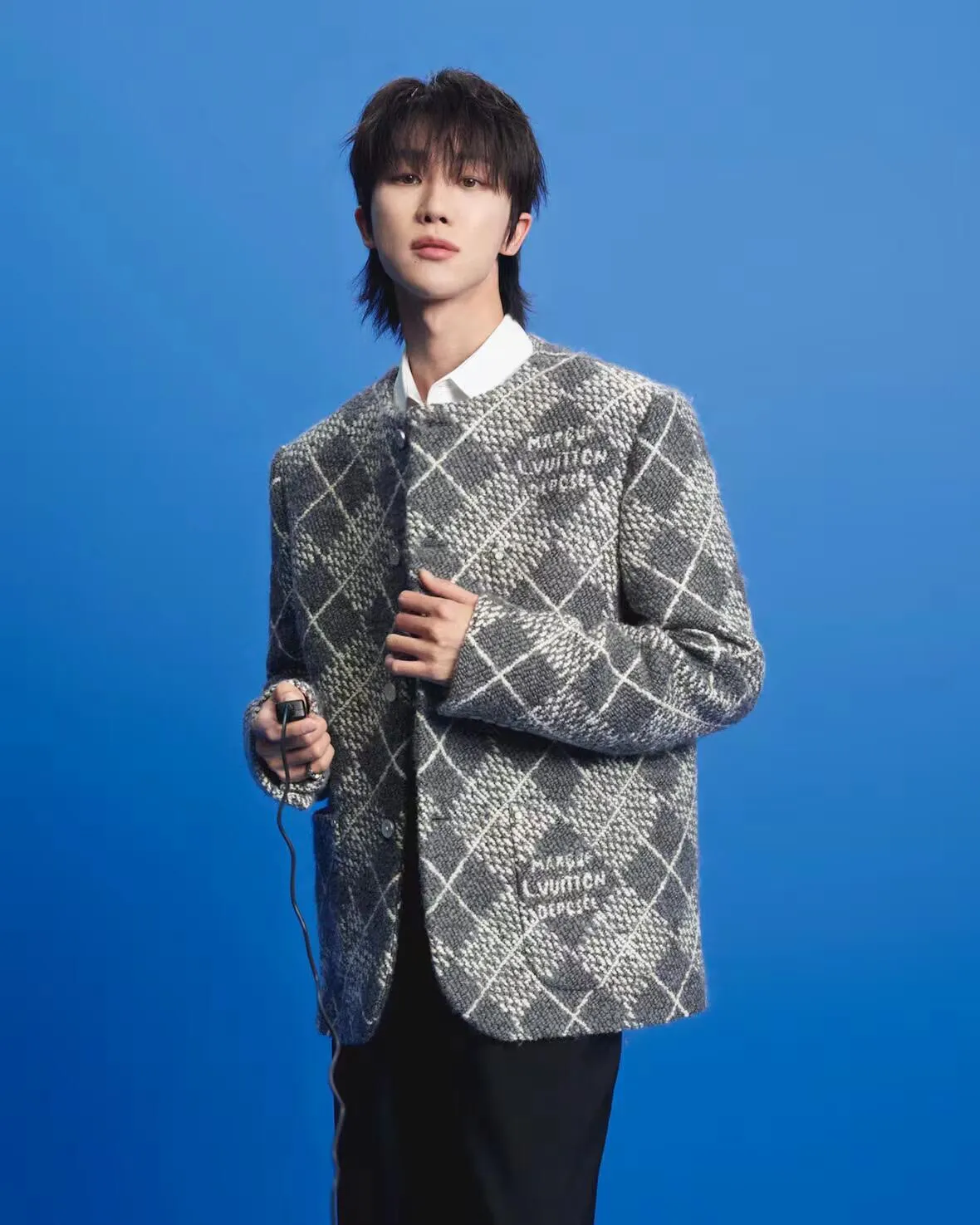 Model picture
